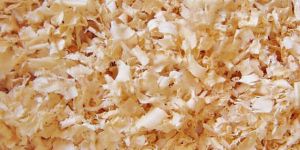 Wooden Shavings