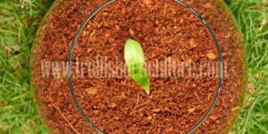 Organic Growing Media