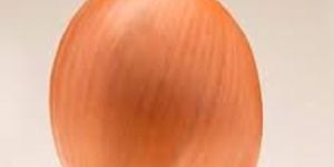 ONION SEEDS MARUTI ROSHANI