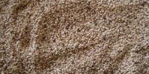Sesame Seeds