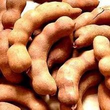 Tamarind