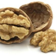 Walnut Kernel without Shell