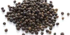Piperine