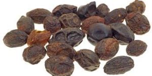 Saw Palmetto NUTRACEUTICALS