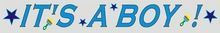 ITS a BOY Foil Banner
