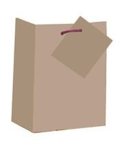 Kraft Paper Bags