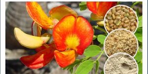 Organic Sesbania Gum Powder