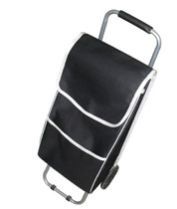 Trolley Bag