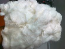 Raw Cotton Fiber