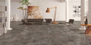 Vitrified Tiles
