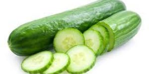 Fresh Cucumber