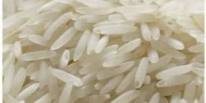 1121 White Sella Rice
