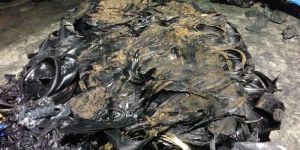 Steel Belt (Metallic Tissue)