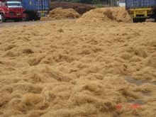 Coconut Coir Natural Fibre