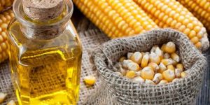 Corn Oil