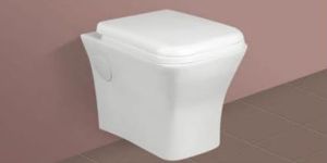 Wall Mounted Toilet Seat