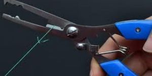 Stainless Steel Wire Cutting Services