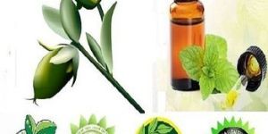 Natural Jojoba Oil Refined