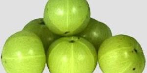 Fresh Amla