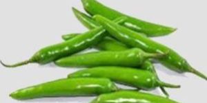 Fresh Green Chilli