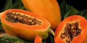 Fresh Papaya