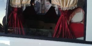 Designer Car Curtains