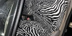 Loose Car Seat Covers