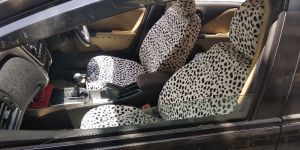 Car Seat Covers