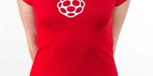 Ladies Round Neck T-Shirt