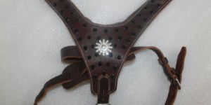 Dog Harnesses