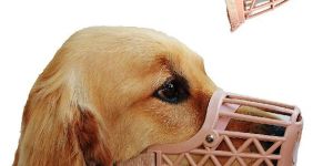Dog Muzzles