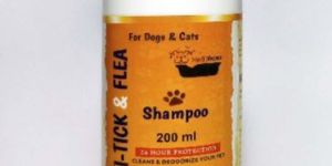 Dog Shampoo