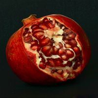 Pomegranate Plant