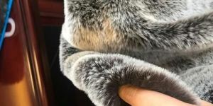 Black Hipile Discharge Fur Fabric