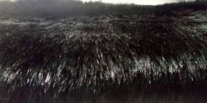 Black Shine Fur Fabric