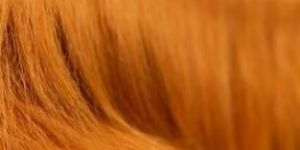 Brown Long Pile Fur Fabric