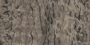 485 Cork Wood Laminate