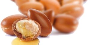 Refined Argan Oil Organic Deodorised