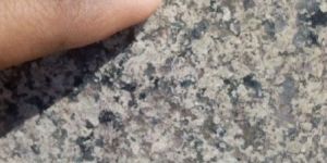 Desert Green Granite Slabs