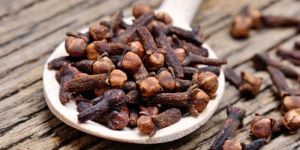 Dry Cloves