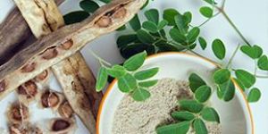 Moringa Seed Powder