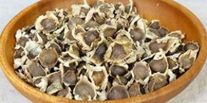 Moringa Seeds