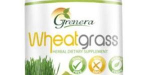 Wheatgrass (Triticum Aestivum)