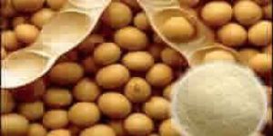 Soya Meal