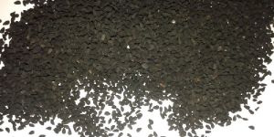 Nigella Sativa Seeds