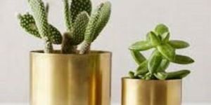 Wedding World Planters