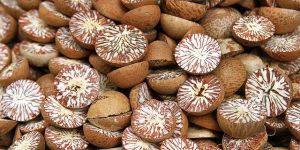 Pure Betel Nuts
