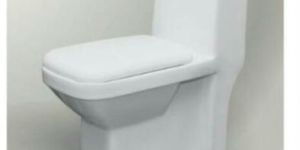 White One Piece Toilet