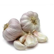 Fresh Garlic