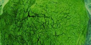 Moringa Dry Leaf Powder